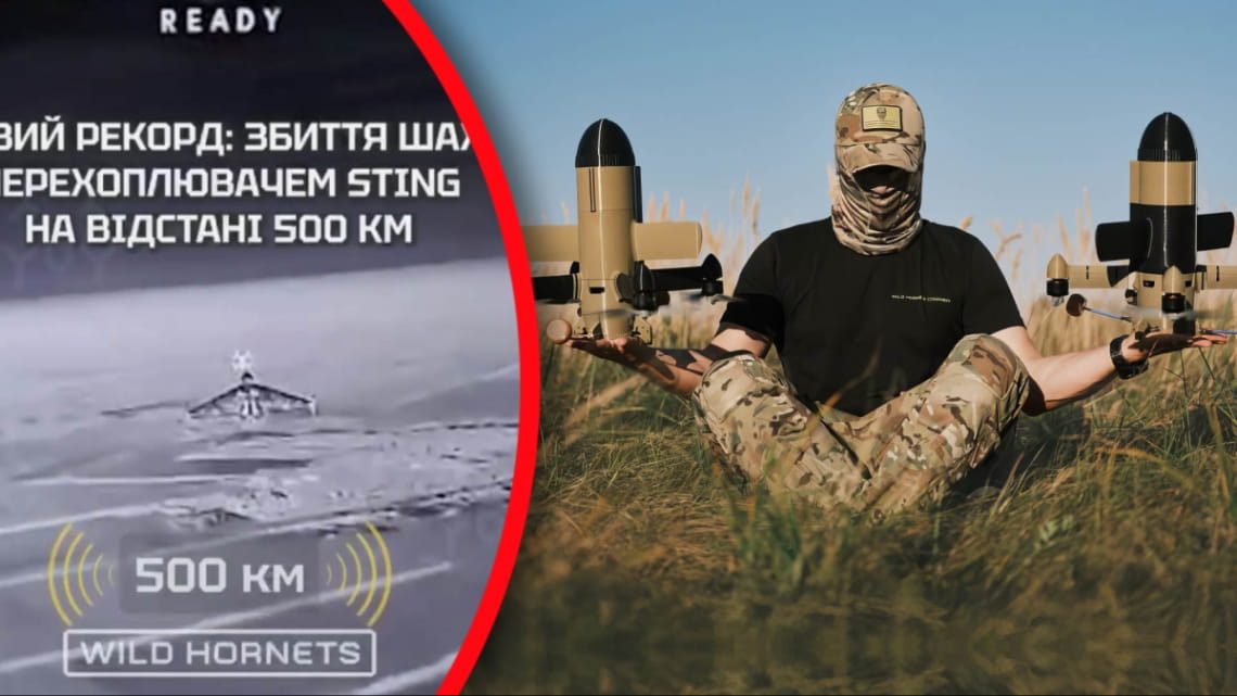 Оборонці неба збили два 