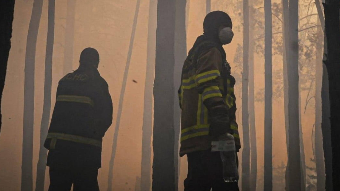 Пожежа в Чорнобильській зоні охопила понад 1100 гектарів лісу (фото, відео) (Відео)