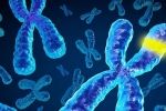 Почерк раковых опухолей: ученые научились определять причину возникновения онкозаболевания по его ДНК