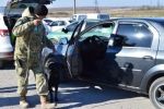 На КПВВ в АТО в чергах "застрягли" 685 автомобілів