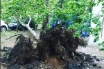 Людські жертви, знесені дахи та повалені дерева: у Москві розлютувався страшний ураган