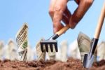 МВФ виключив земельну реформу з вимог для отримання наступного траншу