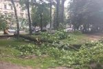 Мощный ураган во Львове: в результате падения дерева погибли два человека