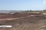Куяльницький лиман перетворюється на пустелю: чому пересихає унікальна водойма