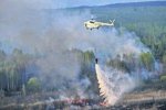 Другий день палає: у Чорнобильській зоні вогонь охопив 7 га землі