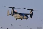 В Одесі для дозаправки сіли конвертоплани морської піхоти США