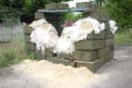 Військовий розповів подробиці ворожого обстрілу на околиці Мар'їнки, під час якого поранено двох армійців