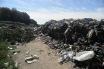 Порятунок Землі від сміття існує: вчені знайшли фермент, який роз’їдає пластик за лічені дні – відео