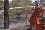 Пожежі у лісах Херсонщини: хто за цим стоїть та які обмеження вводить ОДА