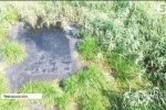 "10 гектарів болота": як на Черкащині на "голому місці" влаштували сміттєзвалище