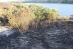 На Хортиці спалахнула масштабна пожежа – гасили кілька годин