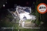 Жахлива лобова ДТП під Києвом: кількість загиблих зросла до семи