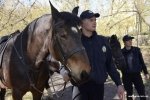 "Незвичні напарники": як виглядає та що вміє кінна поліція в Україні – ФОТО