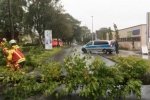 Зірвані дерева, дахи будинків, стоять поїзди: у Німеччині вирує шторм "Себастьян", є загиблі