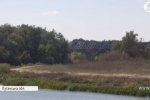 "Провокативно гатять з-за лісосмуги": ситуація на залізничній станції "Донець"