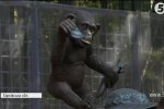 "Ціна допомоги": у Харківському екопарку шимпанзе напали на доглядальника
