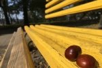 О шапках стоит забыть: в Украине потеплеет