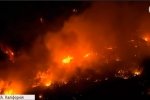 "Це схоже на апокаліпсис": Каліфорнію охопили надзвичайно потужні пожежі