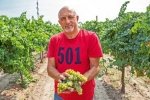 "ЗА ЧАЙ.COM": Колишній радник президента, а нині винороб Іван Плачков в ефірі "5 каналу"