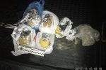 "Звернули увагу на підозрілих осіб": У Києві поліцейські знайшли 6 кг вибухівки у багажнику авто – фото