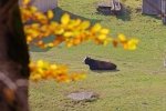 Синоптики прогнозируют "уникальное" потепление в среду – подробности