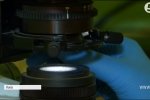 Спалах менінгококової інфекції: що це, чим загрожує і чому в Україні немає вакцини