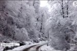 Снігові замети та повалені дерева: на Україну суне холодний циклон з Європи