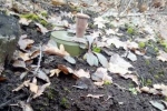 "Планувалися теракти проти мирних": в АТО виявили схрон з боєприпасами РФ