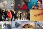 ТОП-10 найкумедніших подій 2017 року у світі: пташиний Коперфілд та "епохальне" повернення супермоделей 90-х 