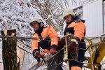 В Україні хуртовини та дощі залишили без світла 479 населених пунктів
