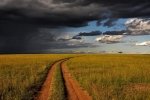 От холера: МЗС застерігає українців від подорожей до чотирьох країн