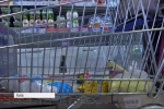 COVID-19: власть Киева приготовит стратегические запасы на две недели в связи с карантином – подробности