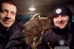 Запорізькі патрульні врятували красуню з роду оленевих