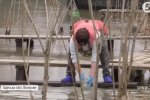 На Одещині підтопило "українську Венецію" – як східний вітер у Вилковому лиха наробив