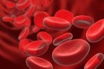 Вчені винайшли спосіб перетворювати будь-яку групу крові в універсальну