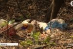 Ліси біля Черкас перетворилися на сміттєзвалище: хто винен та в чому причина