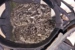 "Подумайте двічі, перш ніж спричинити пожежу": на Полтавщині бійці ДСНС врятували маленьких зайченят