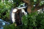 ДТП на Миколаївщині: мікроавтобус влетів у дерево – п'ятеро людей загинули
