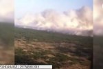 На Херсонщині горять ліси: назвали попередню версію займання