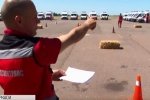 Тест на професійність: у Черкасах змагалися парамедики з України, Литви та Польщі