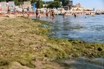 У курортних селищах під Одесою забруднена вода – МОЗ