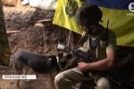 Неспокійно, але є втішні новини: як минають дні захисників Новозванівки під час перемир'я