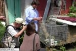 Порятунок бабаків: харківські науковці досліджують, як тварини, вирощені в клітці, пристосовуються до життя на волі