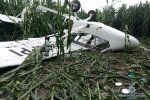 На Сумщині розбився одномісний літак: що відомо