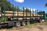 Вивіз радіоактивних труб ЧАЕС: у Київській області затримали фуру