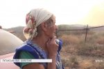 "З усіх боків мене оточив вогонь": масштаби лиха від пожежі на Луганщині та чому не вдається її локалізувати