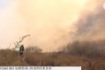 Масштабна пожежа на Луганщині: рятувальники локалізували вогонь