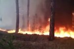 На Харківщині ледь не згоріло ціле село – версії слідчих