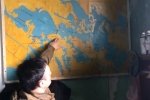 У багатостраждальному Криму нова катастрофа: почали гинути дерева