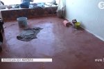 Мокра стеля та пліснява на стінах: на Волині діти змушені вчитися в затопленій школі – подробиці